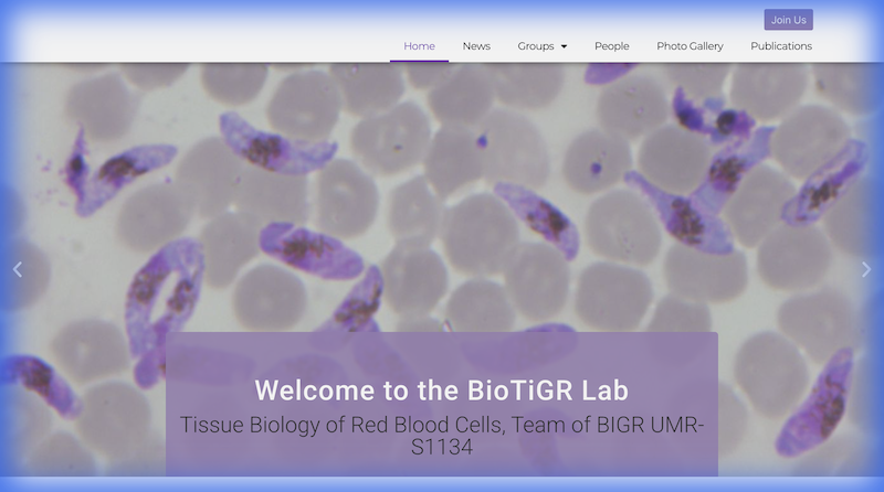 BioTIGR